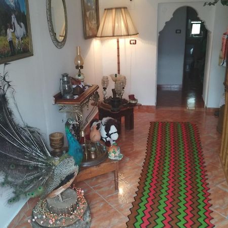 Karafil Guesthouse Gjirokaster Ngoại thất bức ảnh
