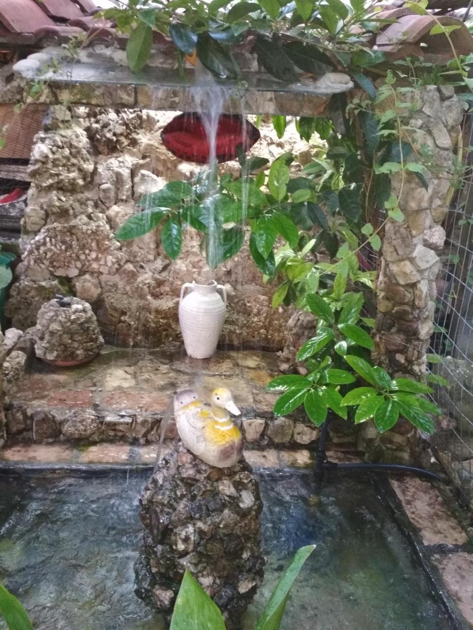 Karafil Guesthouse Gjirokaster Ngoại thất bức ảnh