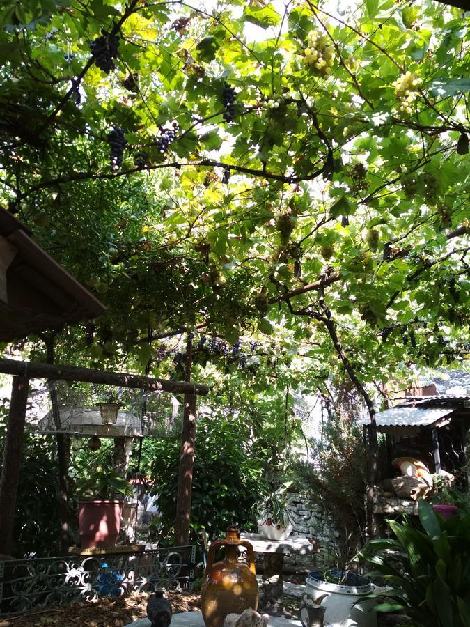 Karafil Guesthouse Gjirokaster Ngoại thất bức ảnh